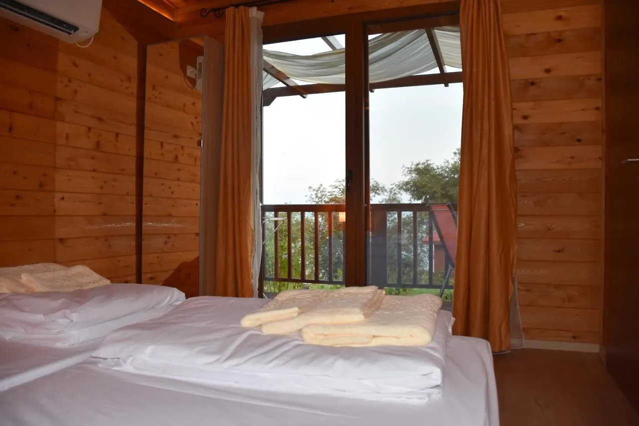 Holiday home Villa Viridi Sozopol